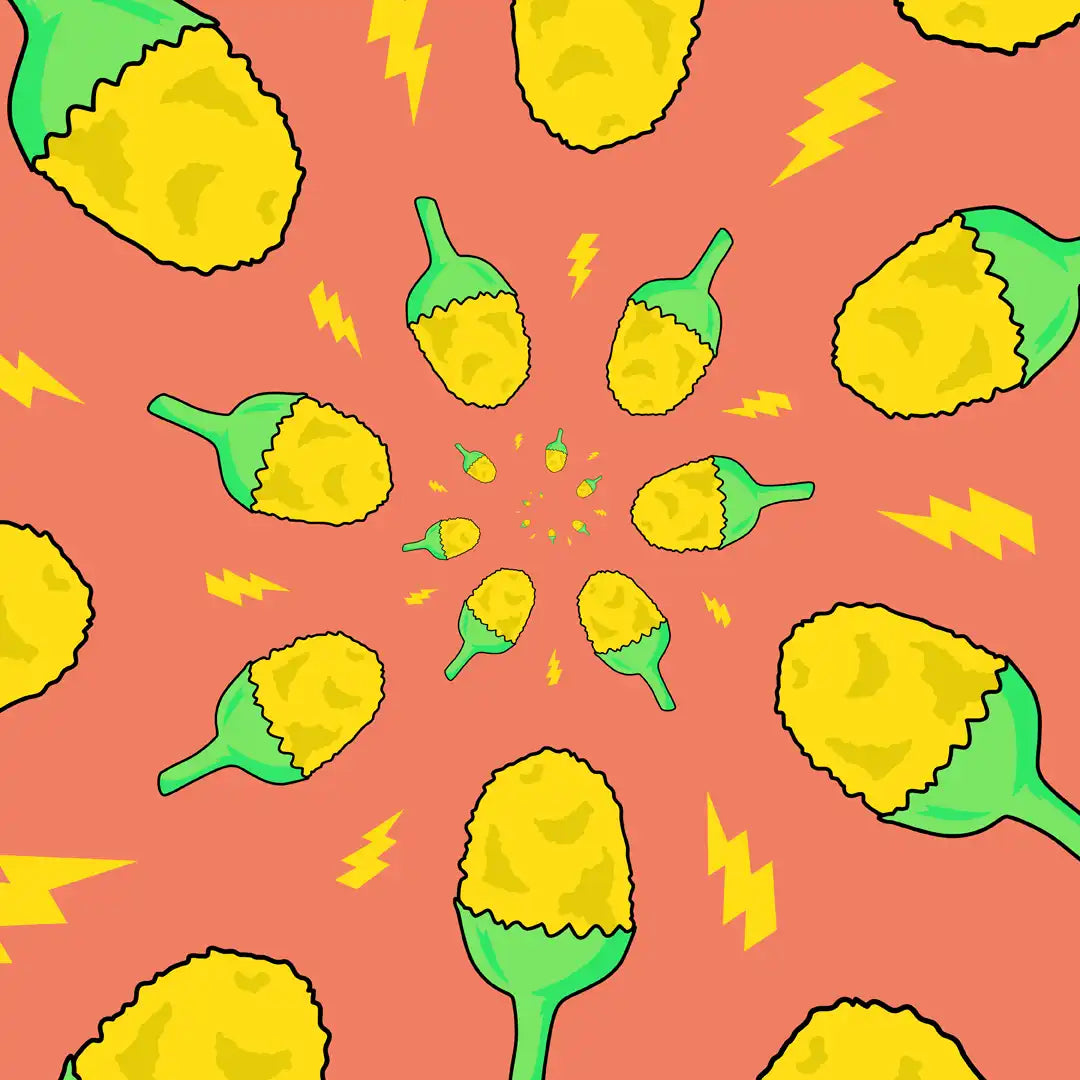 The History of Spilanthes: From Toothache Remedy to Taste Adventure