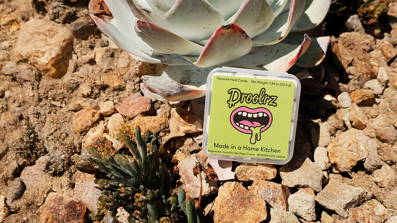 A pack of Droolrz candy sitting on rocky desert terrain next to a succulent plant